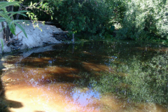 dsc_0650-620x300-1